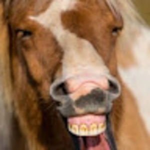 Meet your Posher, Aiden